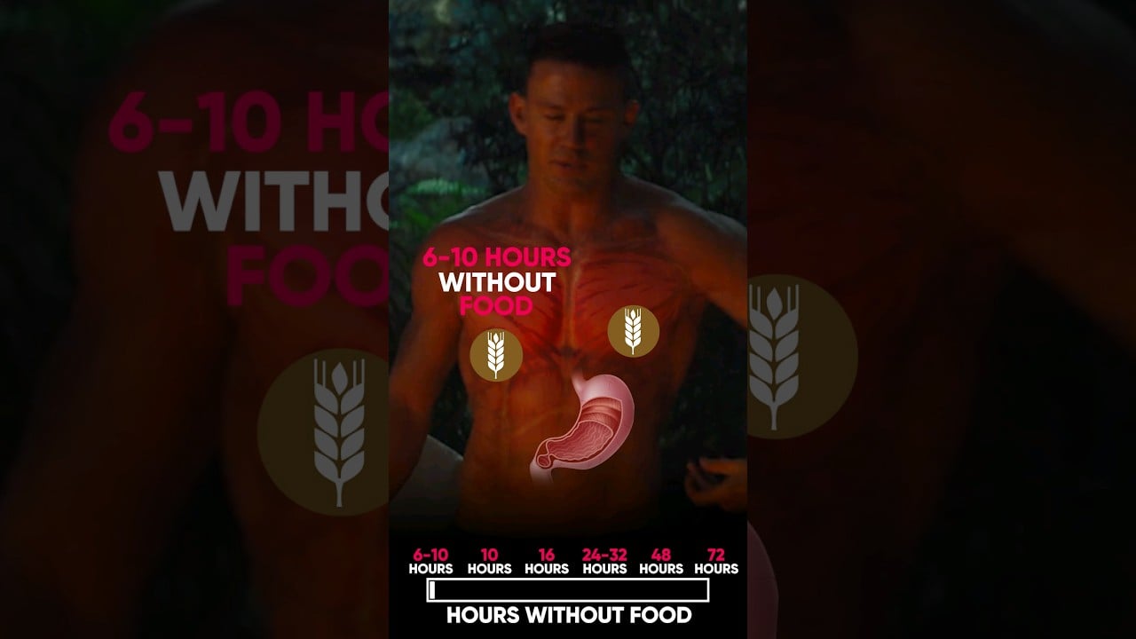 What Happens If You Eat NOTHING for 3 Days