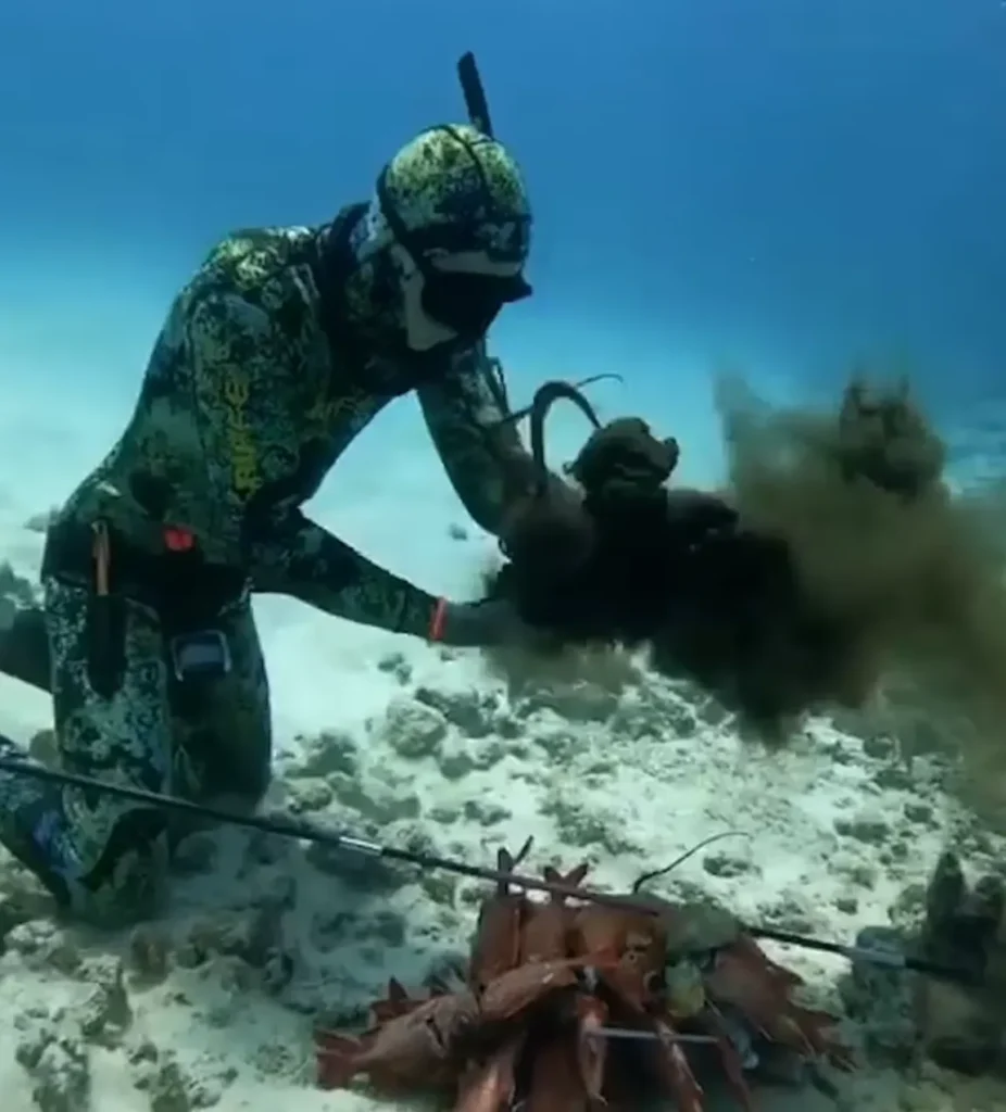 diver started exploring underwater 