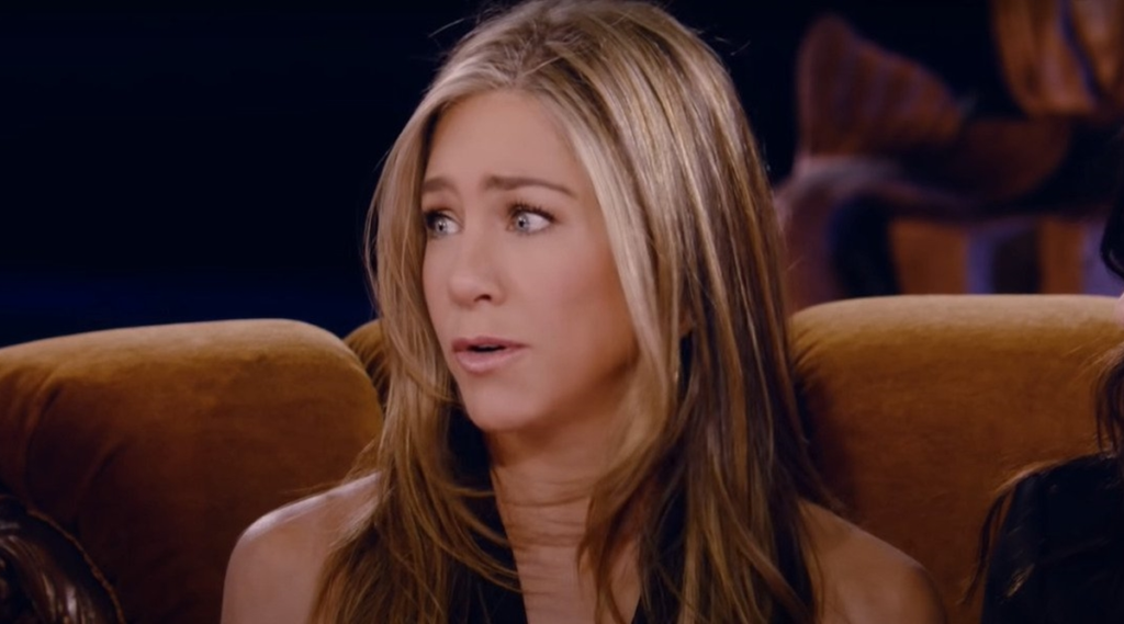 Friends: The Reunion dealt with Jennifer Aniston and David Schwimmer's relationship.